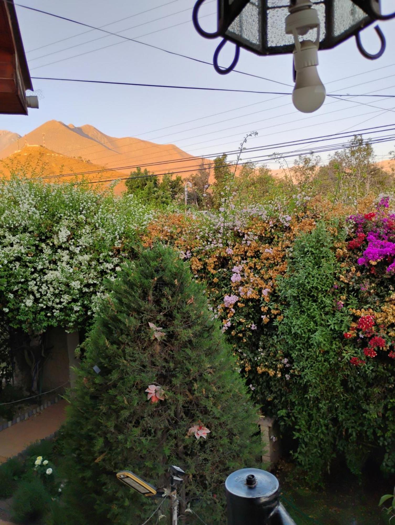 Hostal Donde Rita Vicuña Zewnętrze zdjęcie